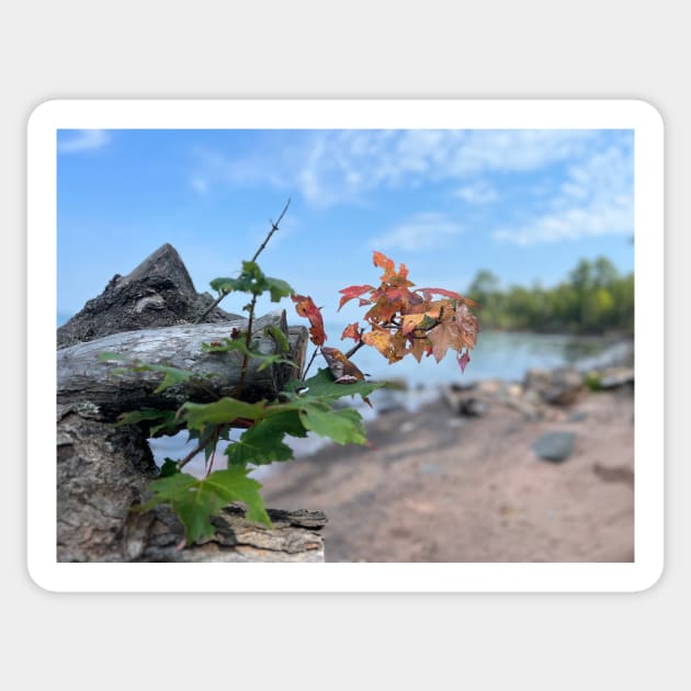 Changing of the seasons on the shores of Lake Superior Sticker by rford191